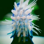 Old_Toothbrush.jpg Old tooth brush picture