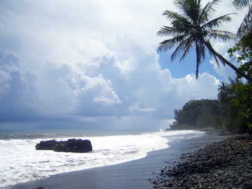 desert island