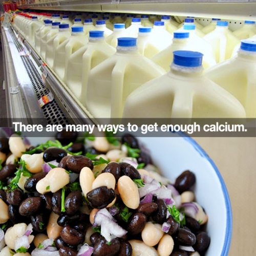 Calcium Is Essential For Strong Teeth And Bones